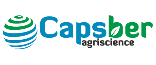 Capsber Logo